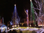 Winter Illumination in Alps Azumino Park